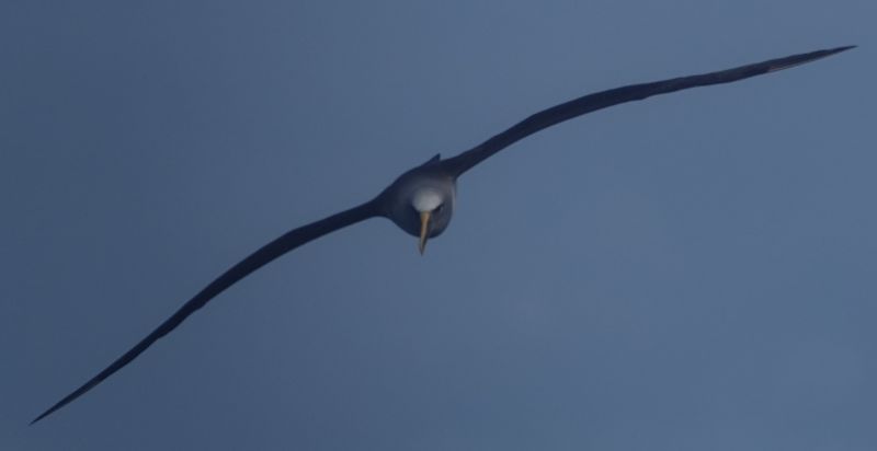 Viewing photos→2018→2018-08-25→80