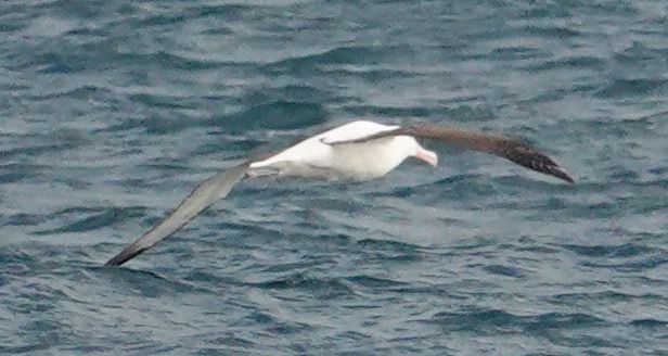 Viewing photos→2018→2018-08-25→81