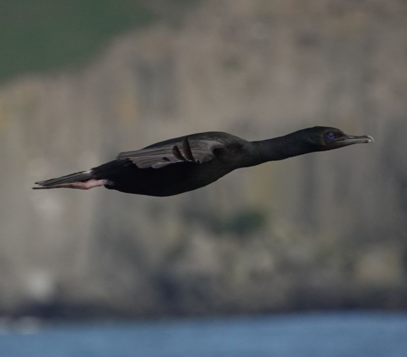 Viewing photos→2018→2018-08-25→85