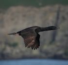 86.jpeg - 2018:08:25 03:17:45