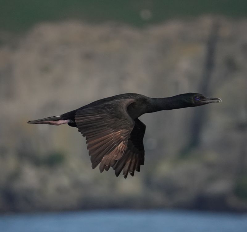 Viewing photos→2018→2018-08-25→86