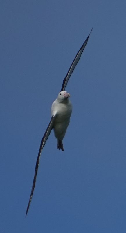 Viewing photos→2018→2018-08-25→88