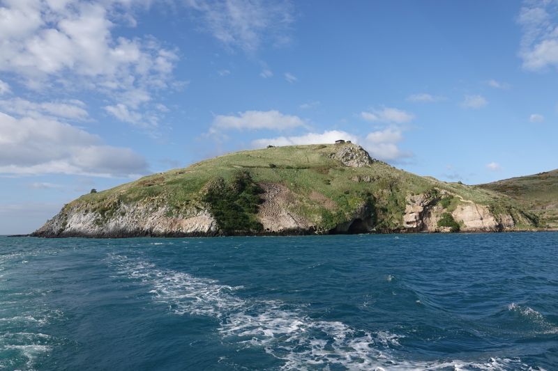 Viewing photos→2018→2018-08-25→91