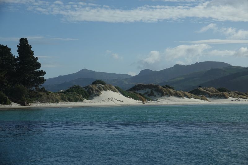 Viewing photos→2018→2018-08-25→92