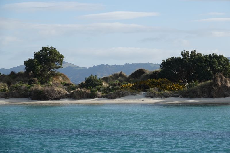 Viewing photos→2018→2018-08-25→93