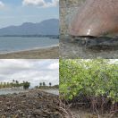 2018-09-02 - 2018-09-17<br/>
<b>Nadi and the coast, Fiji</b>
