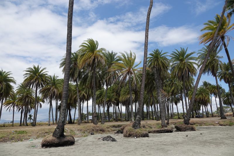 Viewing photos→2018→2018-09-02→005