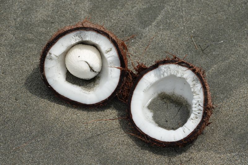 Viewing photos→2018→2018-09-02→006