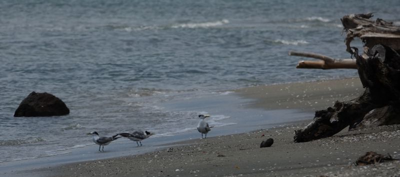 Viewing photos→2018→2018-09-02→008