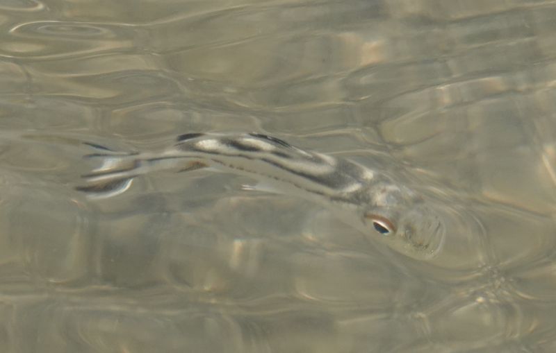 Viewing photos→2018→2018-09-02→010