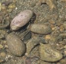 011.jpeg - 2018:09:02 01:06:45