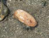 017.jpeg - 2018:09:02 01:13:47