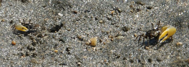 Viewing photos→2018→2018-09-02→018