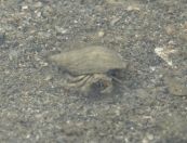 021.jpeg - 2018:09:02 01:22:42