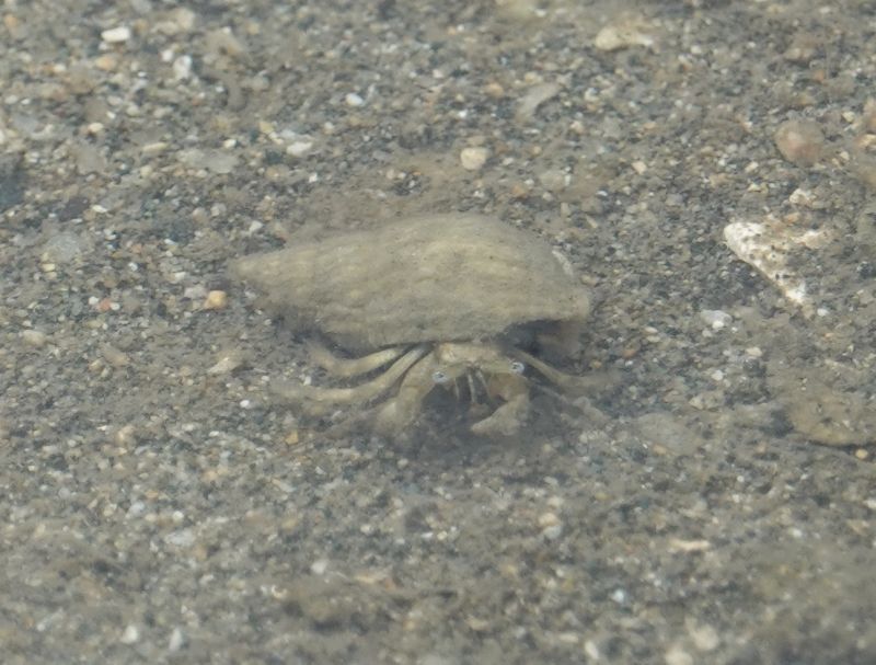 Viewing photos→2018→2018-09-02→021