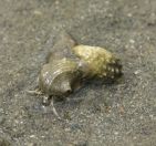 022.jpeg - 2018:09:02 01:25:01