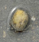 023.jpeg - 2018:09:02 01:25:31