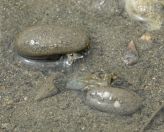 024.jpeg - 2018:09:02 01:25:46