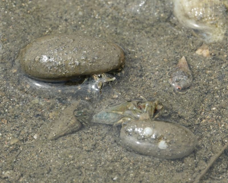 Viewing photos→2018→2018-09-02→024