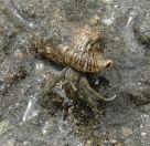 027.jpeg - 2018:09:02 01:28:27