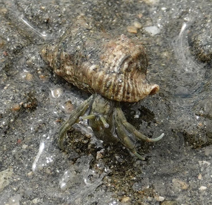 Viewing photos→2018→2018-09-02→027