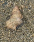 028.jpeg - 2018:09:02 01:32:55