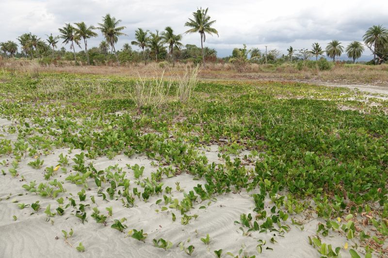 Viewing photos→2018→2018-09-02→032