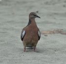 038.jpeg - 2018:09:02 01:49:34