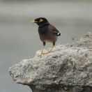 039.jpeg - 2018:09:02 01:56:25