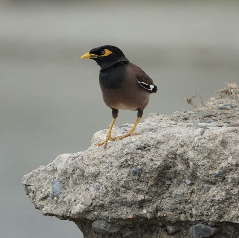 Viewing photos→2018→2018-09-02→039