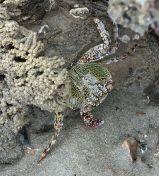 040.jpeg - 2018:09:02 01:57:03