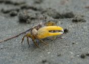 043.jpeg - 2018:09:02 02:00:20