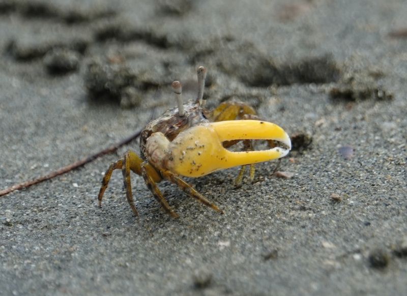 Viewing photos→2018→2018-09-02→043