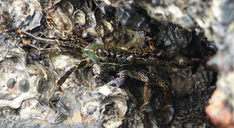 Viewing photos→2018→2018-09-02→046