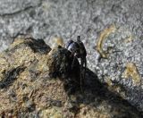 048.jpeg - 2018:09:02 02:17:17