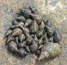 049.jpeg - 2018:09:02 02:17:30