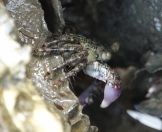 050.jpeg - 2018:09:02 02:18:28