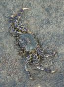 051.jpeg - 2018:09:02 02:20:38