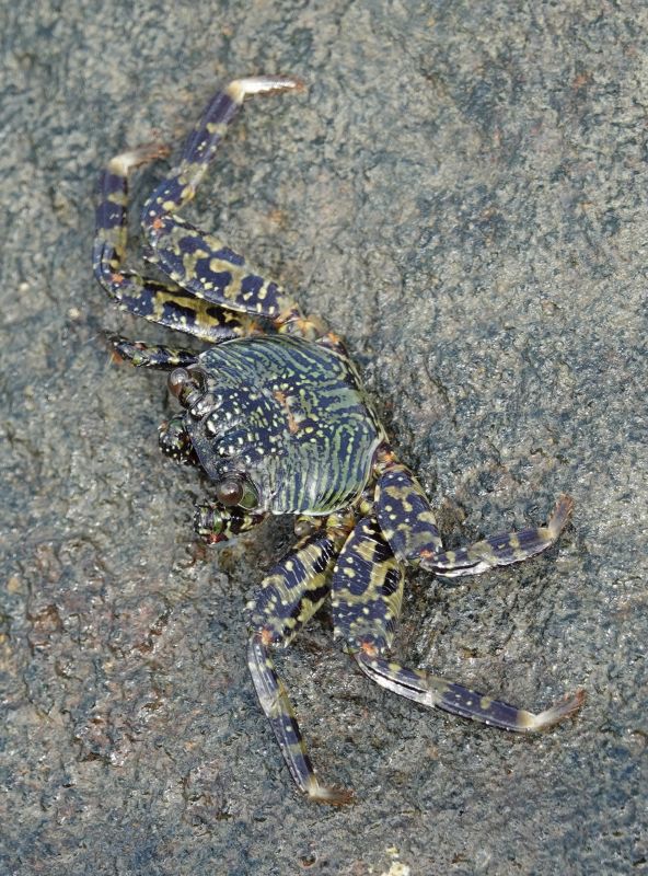 Viewing photos→2018→2018-09-02→051