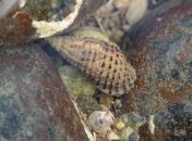 052.jpeg - 2018:09:02 02:24:26