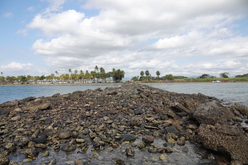 Viewing photos→2018→2018-09-02→053