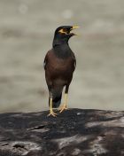 055.jpeg - 2018:09:02 02:40:41