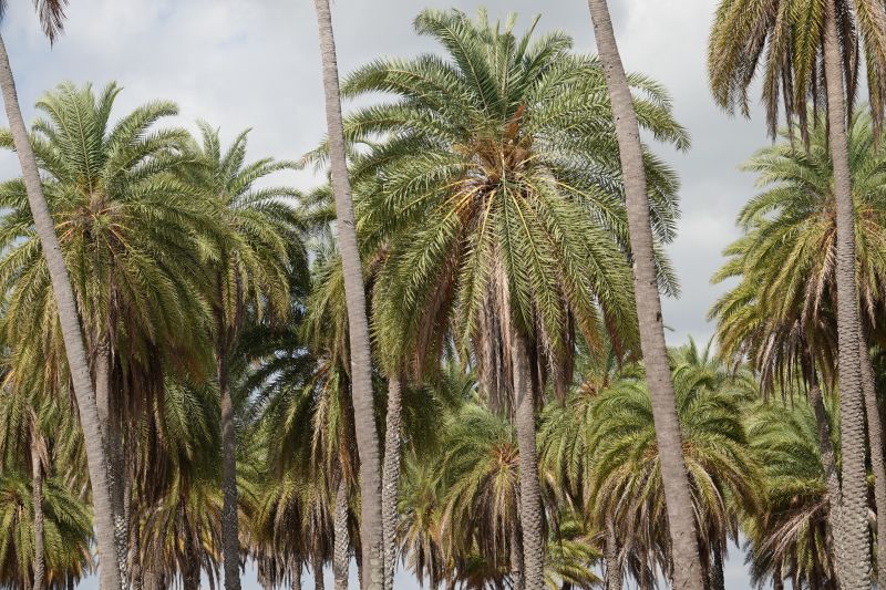 Viewing photos→2018→2018-09-02→056