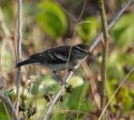 058.jpeg - 2018:09:02 04:43:23