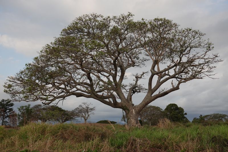 Viewing photos→2018→2018-09-02→068