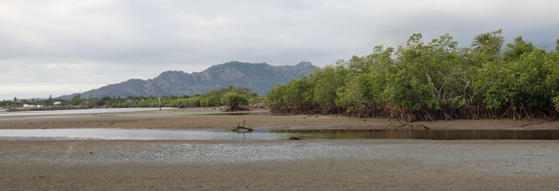 Viewing photos→2018→2018-09-02→071