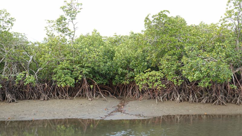 Viewing photos→2018→2018-09-02→072