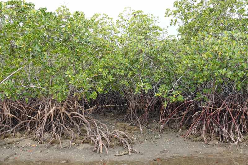 Viewing photos→2018→2018-09-02→079