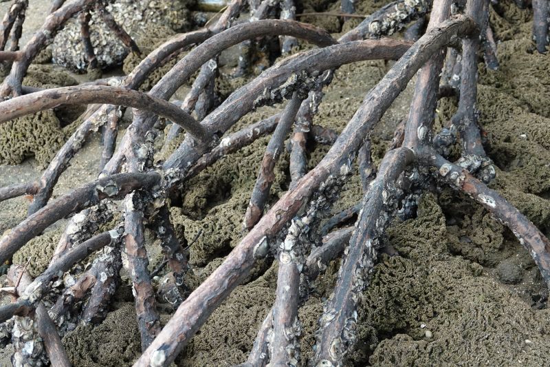 Viewing photos→2018→2018-09-02→081