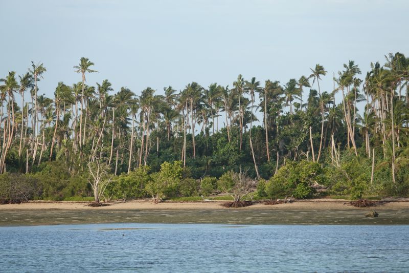 Viewing photos→2018→2018-09-03-1→08